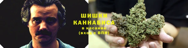 дурь Надым